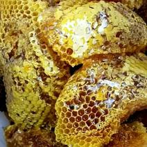 蜜蜂纯野生蜂蜜