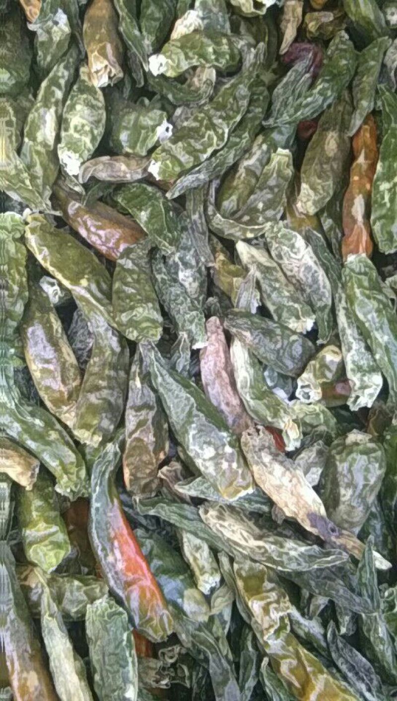 朝天椒干辣椒好花皮9成干以上