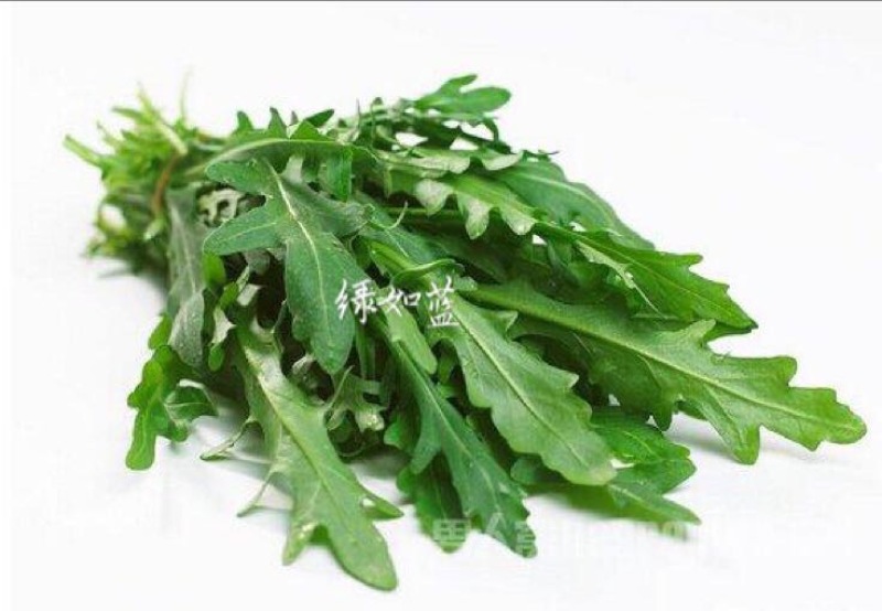 芝麻菜