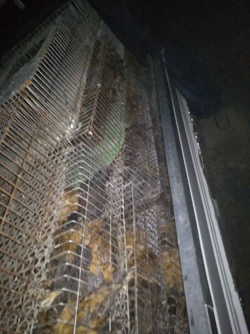 华北柴鸡6月以下