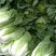 大白菜净菜3~5斤