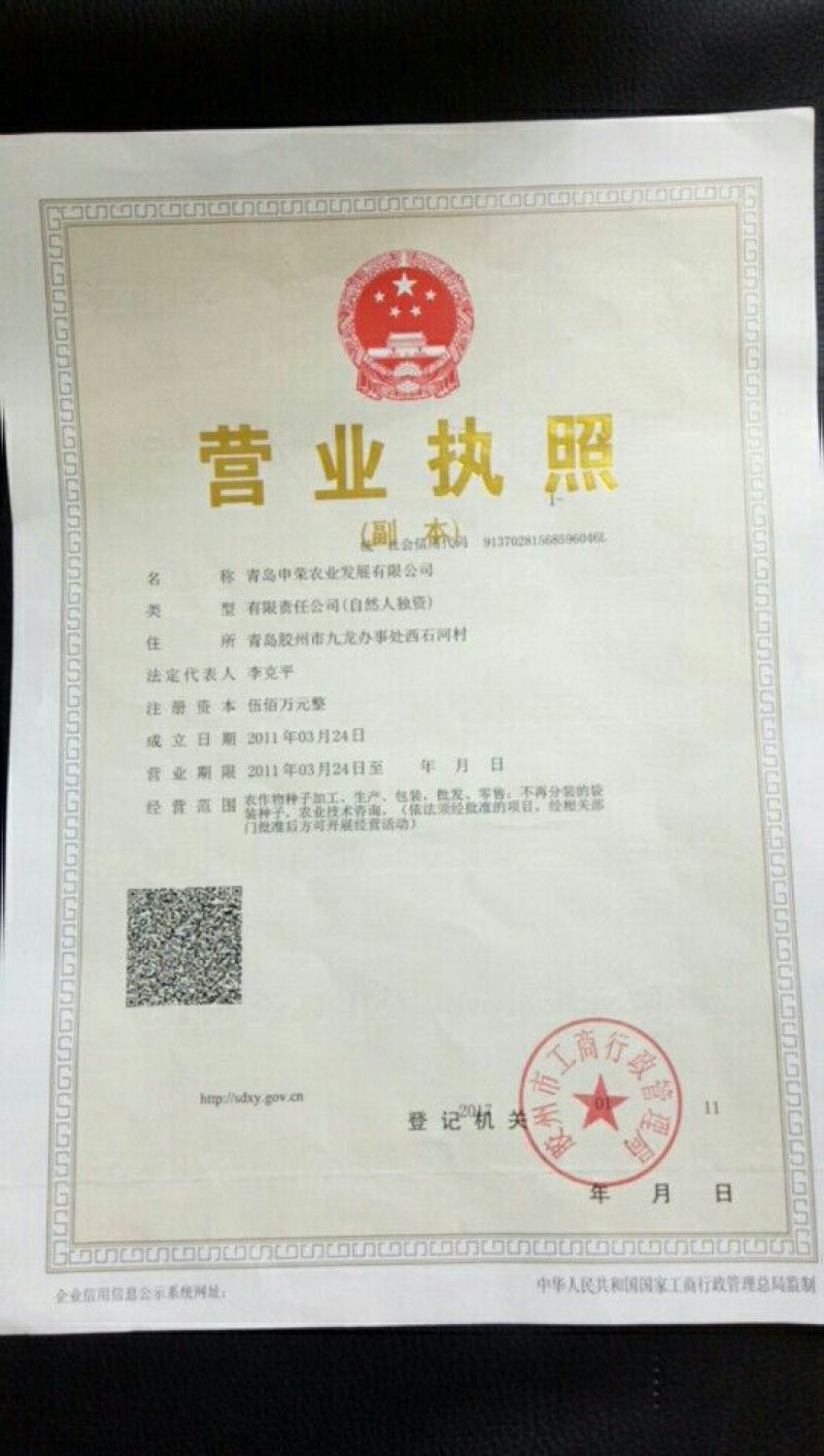 【优质】韭菜种子直立粗壮颜色深绿芽率好长势快品质好