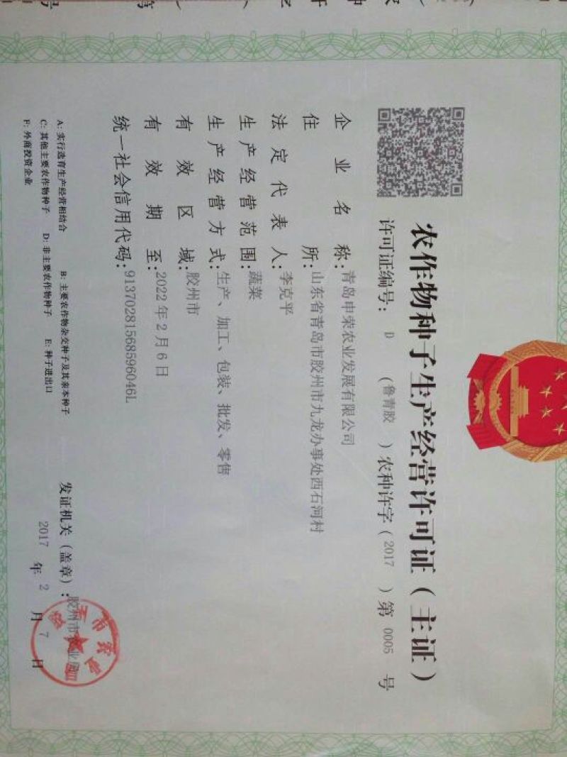 【优质】韭菜种子直立粗壮颜色深绿芽率好长势快品质好