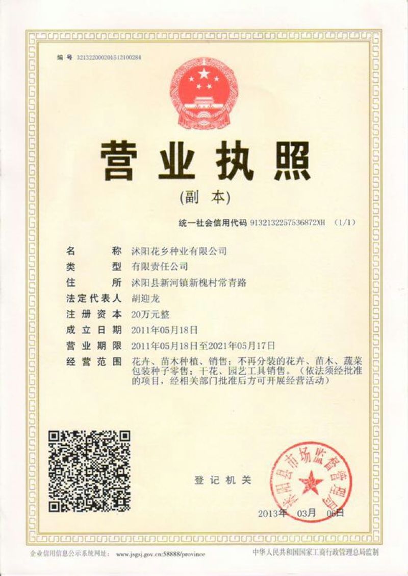 进口多年生黑麦草种子四季常青畜牧草种子猪牛羊鸡鸭鹅鱼草籽