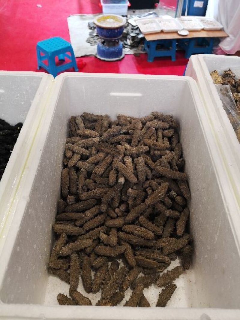 海参食用淡干