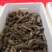 海参食用淡干