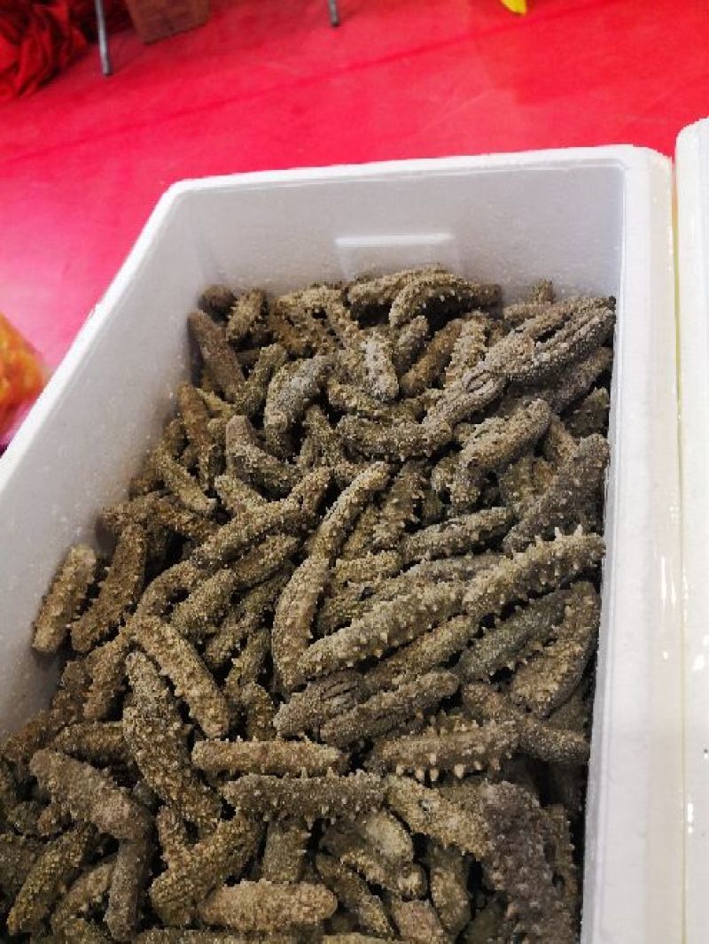 海参食用淡干