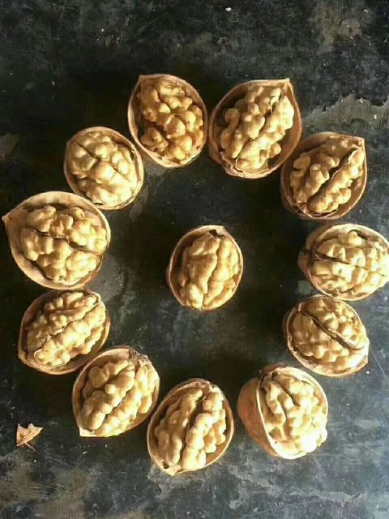 薄皮核桃30mm以上青皮干