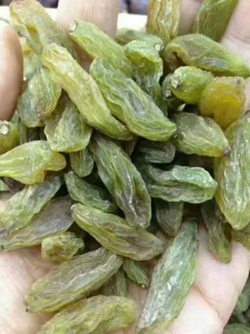 绿香妃葡萄干有核一级