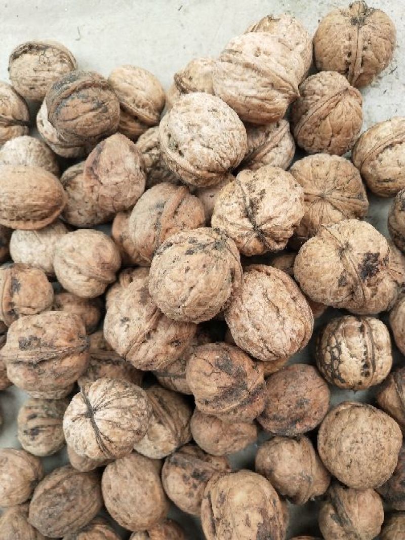 核桃去皮25~30mm干