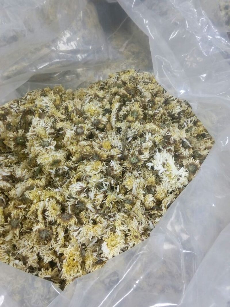 药用菊花袋装