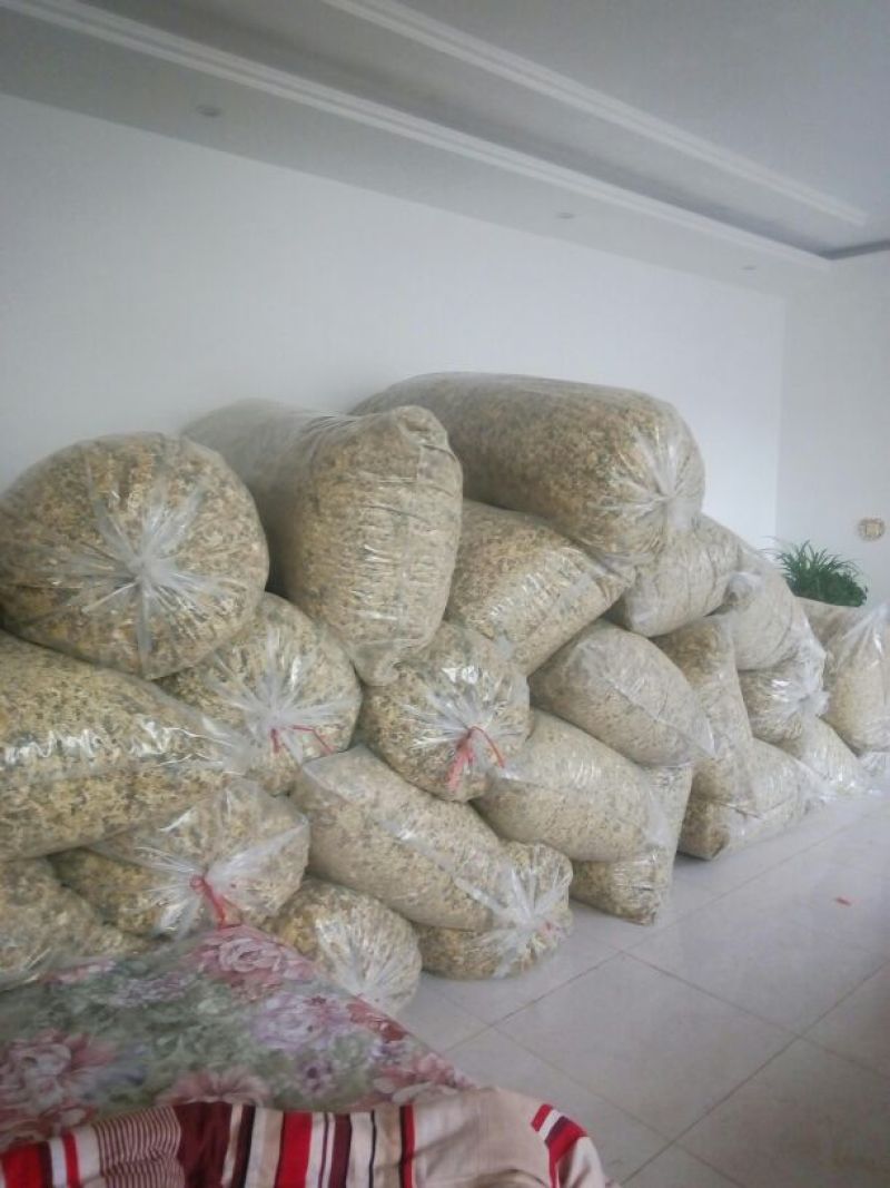 药用菊花袋装