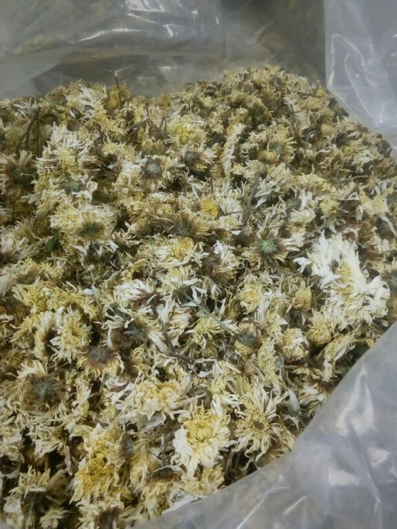 药用菊花袋装