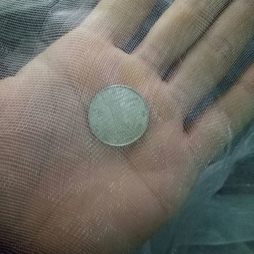 防虫网
