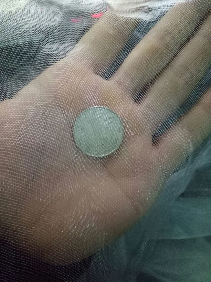 防虫网