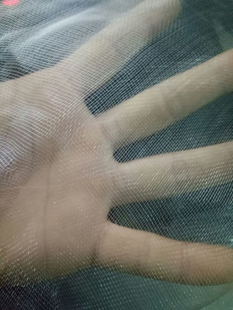 防虫网