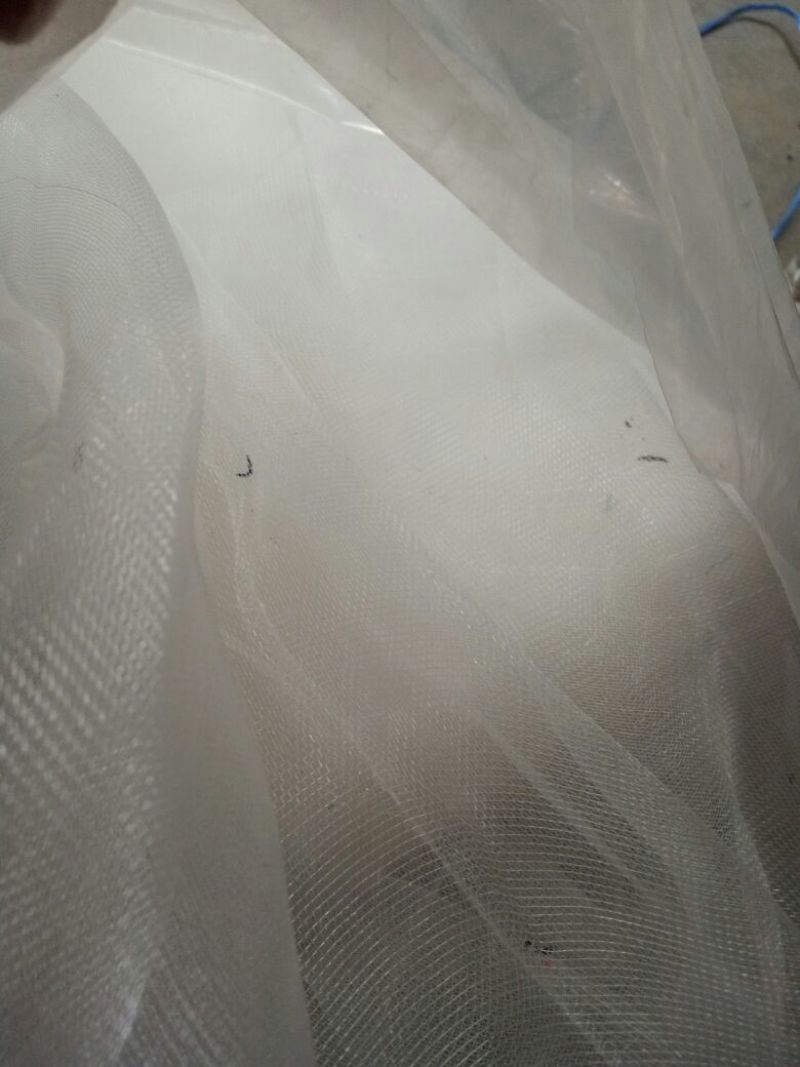 防虫网