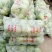 山东临沂精品甘蓝包菜,质优价廉货源充足欢迎选购诚信代办