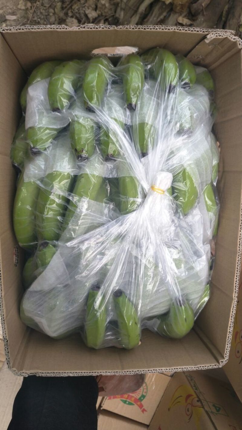 巴西香蕉七成熟
