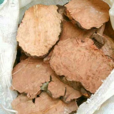 何首乌野生统片