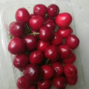 樱桃