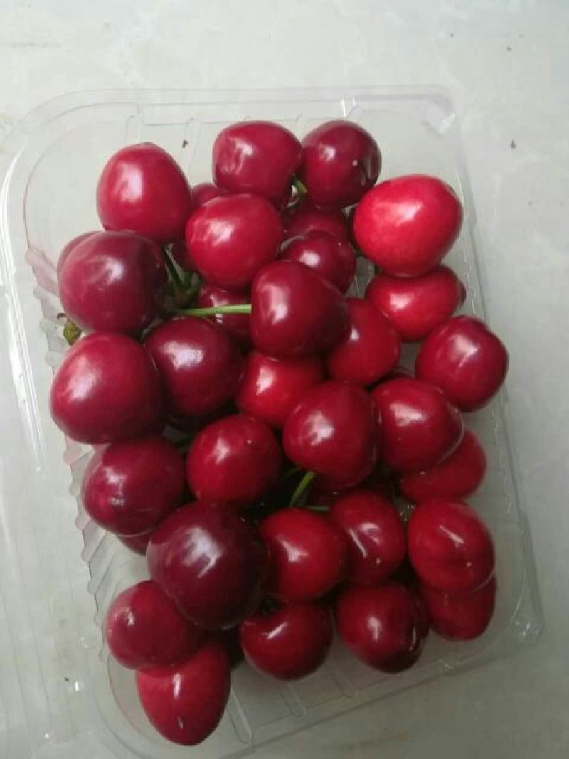 樱桃