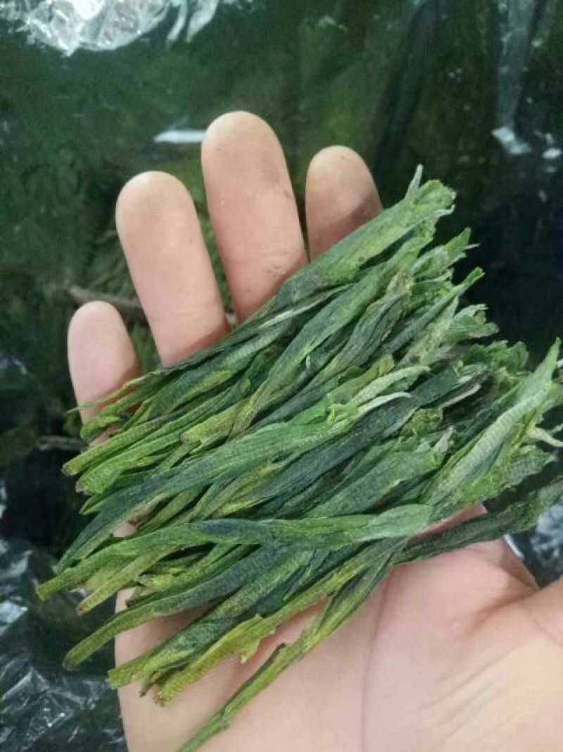 黄山茶叶头采太平猴魁500克装包邮