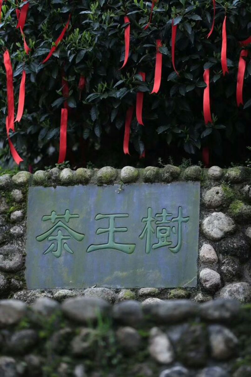 黄山茶叶头采太平猴魁500克装包邮