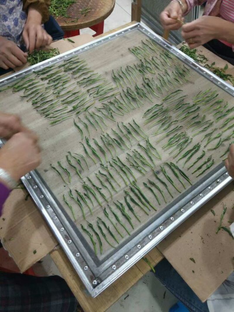 黄山茶叶头采太平猴魁500克装包邮