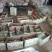 绿宝甜瓜精品0.5斤以上