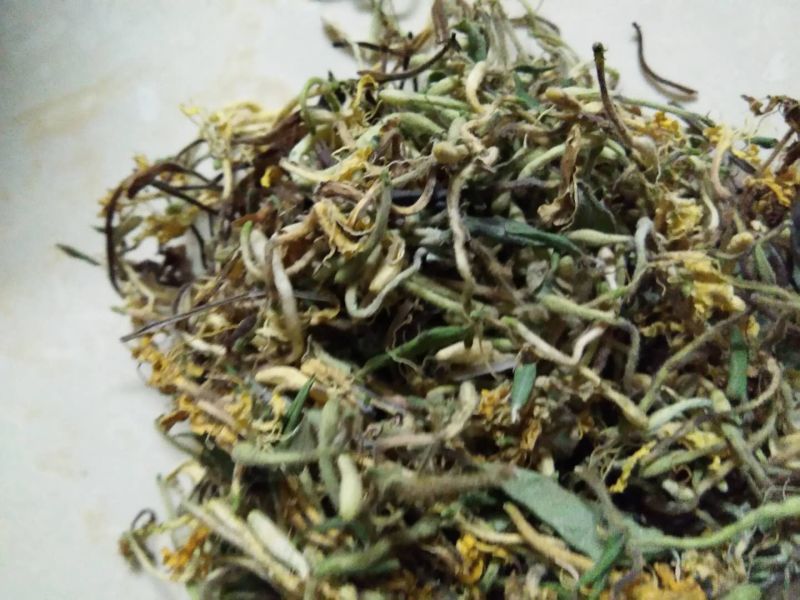 金银花