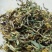 金银花