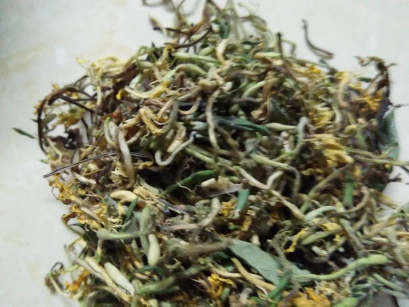 金银花