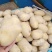 兴佳2号土豆2两以上精品产地直发货源充足