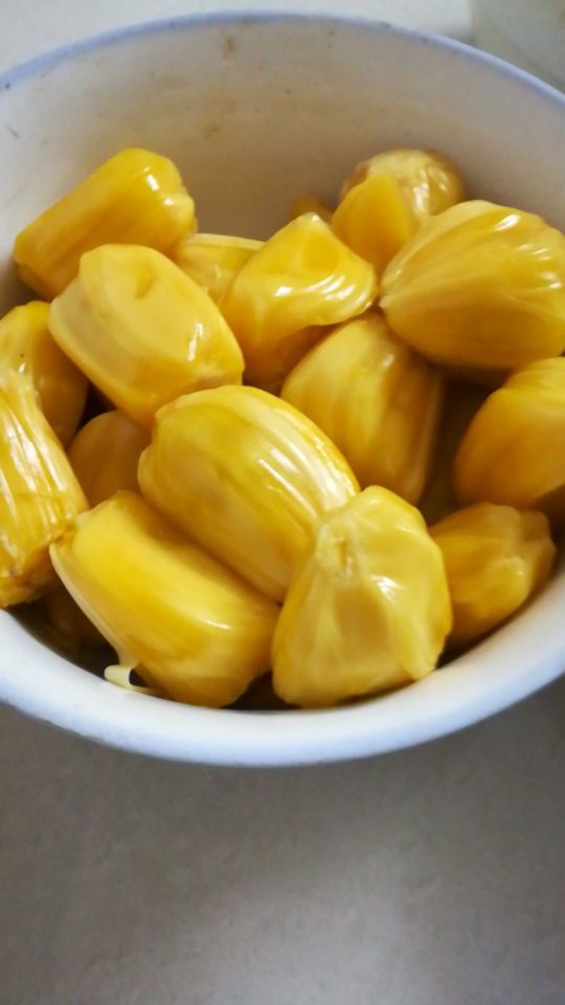 1号马来西亚菠萝蜜苗嫁接树