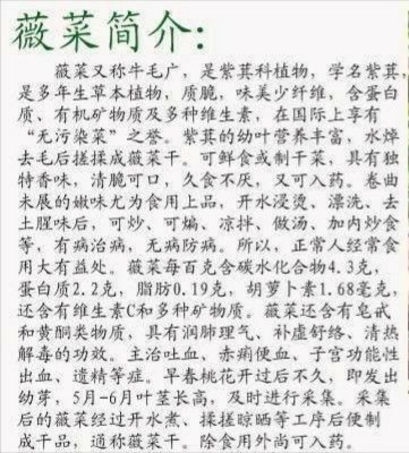 薇菜纯野生干货、干净无硫无杂质、产地直供