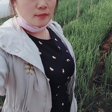 葱苗40cm左右，量大价优，签合同开正规发票
