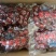 新品大卖香酥脆枣个大无核口感酥脆质优价廉。