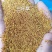 白三叶种子多年生绿化，养殖牧草品种，亩用量6斤