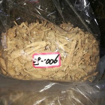 西洋参选货
