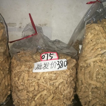 西洋参选货