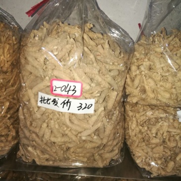 西洋参选货