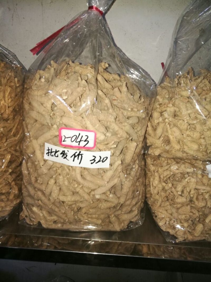 西洋参选货