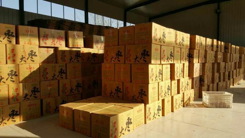 和田大枣价格厂家专业地摊集市货源当天发货