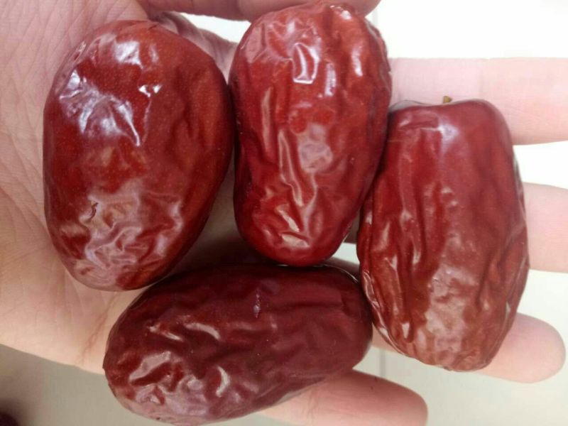 新疆红枣新货上市厂家直供干红枣批发代加工货源足