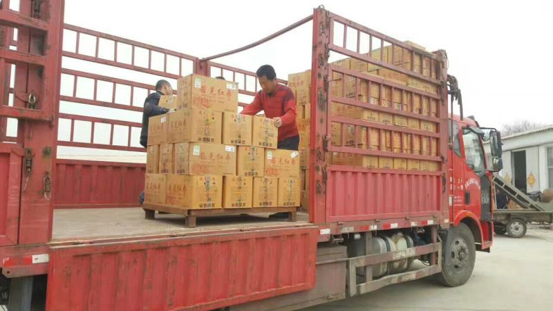 新疆红枣新货上市厂家直供干红枣批发代加工货源足