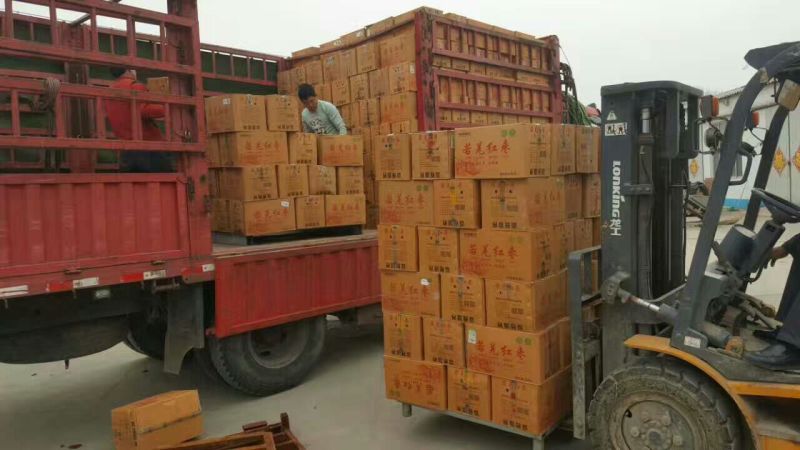 新疆红枣新货上市厂家直供干红枣批发代加工货源足