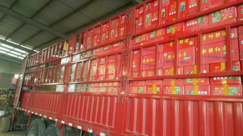 新疆红枣新货上市厂家直供干红枣批发代加工货源足