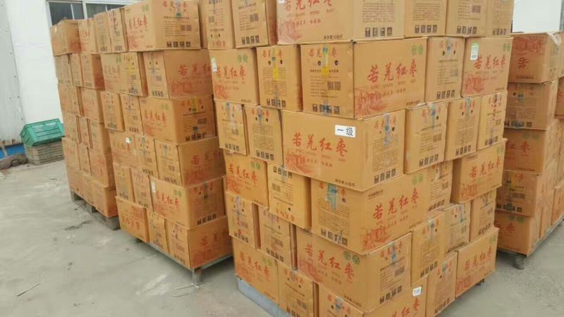 新疆红枣新货上市厂家直供干红枣批发代加工货源足