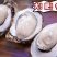 生蚝1~5只/斤